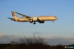 「青が好き」 ETIHAD 787-9 A6-BLN  着陸します