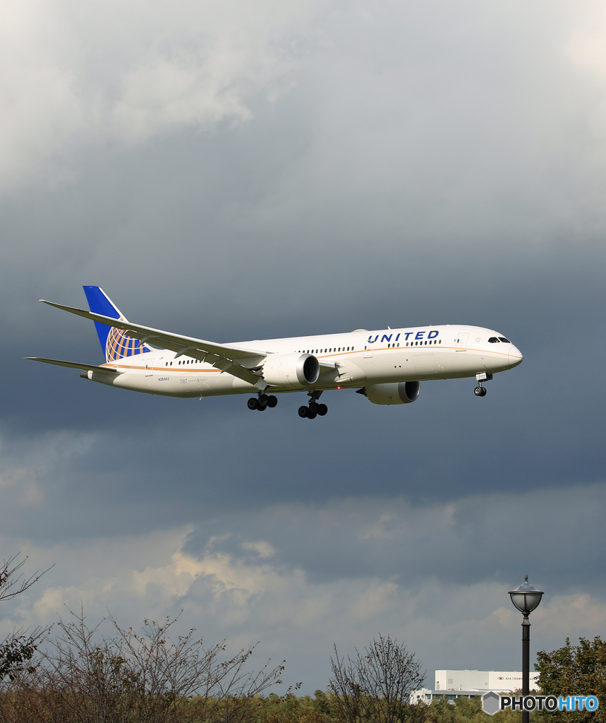 「青色が好き」 UNITED 787-9  N26952