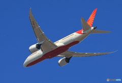 「ぶるー」 Air India 787-8 VT-NAA 飛び立ち