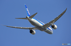「青い空」が一番 ANA 787-8 JA822A 出発