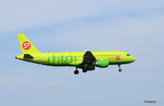 「良い天気」 S7 A320-214 VQ-VDE Landing