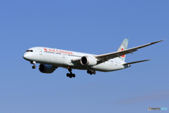 「青色が好き」 AIR CANADA 787-9 C-FGDZ到着