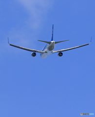 「青空」 ANA 767-381 飛び立ちです
