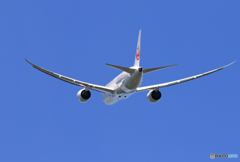 「青空」 Japan Airlines 787-8 JA837J 飛ぶ