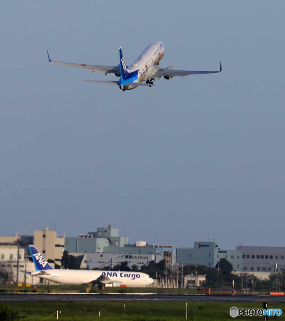 「青が大好き」 東北フラワージェット Takeoff  