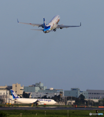 「青が大好き」 東北フラワージェット Takeoff  
