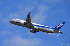  「晴れ」ANA 50機目 787-9 Takeoff 
