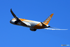 「遠い記録」scoot 787-8 9V-OFA