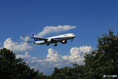 「群青」 ANA 777-381 JA734A 到着です