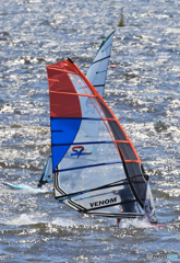 『海のスポーツ』　風と戯れる