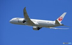 「群青」JAL 787-9 JA868J 飛んだ