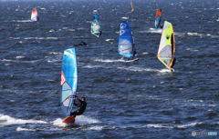 「スカイ」今日は気持ちが良い・ウインドサーフィン　