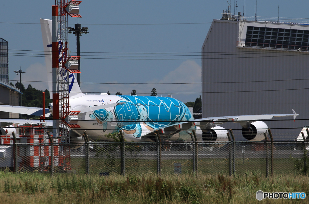 「青が大好き」 Flying Honu２号機 只今「搭乗」練習中です⁉