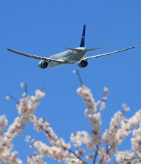 「青い日」 Air France SKY 777 F-GZNT Takeoff 