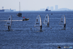 「青い海」大会・ウインドサーフィン