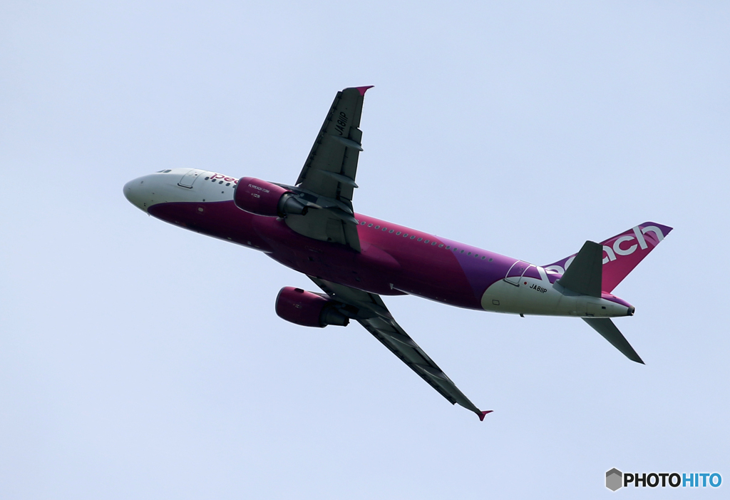 「すかい」Peach A320-214 JA811P  飛び立ちです 