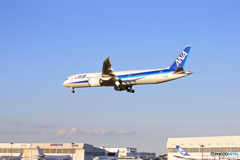 ☀「あおぞら」ANA 787-9 JA864A  Landing