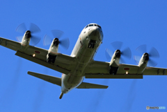 ☮休憩ﾀｲﾑ(660) クル クル ・ P-3C
