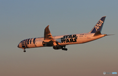 「ブルー」 ANA Star Wars JA873A 着陸です