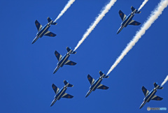 ☮休憩ﾀｲﾑ(587)  ダブル ・ ブルー