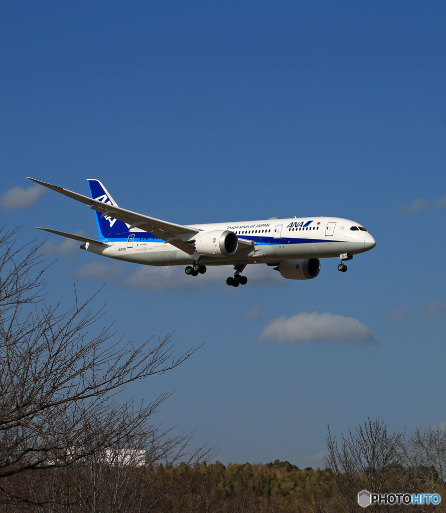 「群青」 ANA 787-8 JA878A Landing 