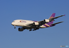 「青が好き」 THAI A380-841 HS-TUF✈ Landing