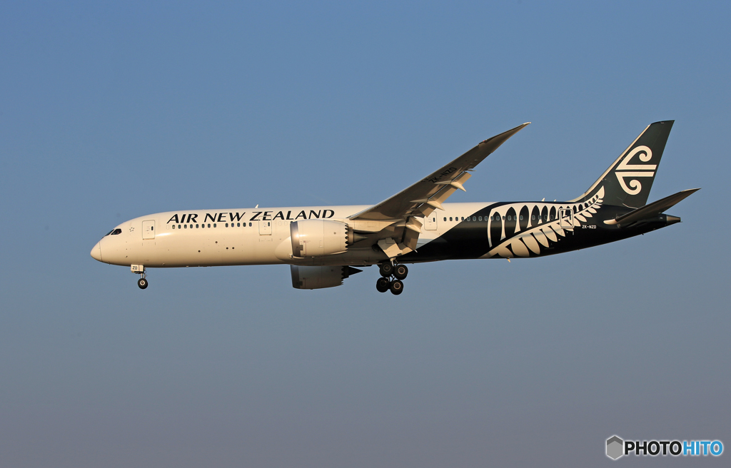 「青色が好き」 NZ' 787-9 ZK-NZD Landing 