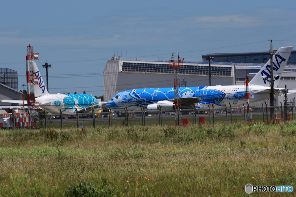 「SKY」 Flying Honu 海亀①②号 ランデブー