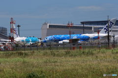 「SKY」 Flying Honu 海亀①②号 ランデブー