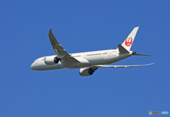 「スカイ」 JAL 787-9 JA870J 離陸 です