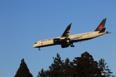 「群青」AIR CANADA 787-9 C-FVLQ  着陸