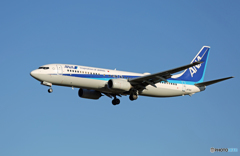 「SKY」 ANA 737-881 JA71AN Landing