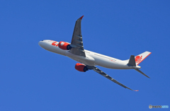 「すかい」Lion Air A330-941 HS-LAL Takeoff 