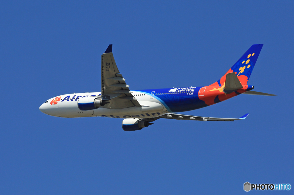 「青が好き」 Air Calin A330-202 F-OJSE 離陸です