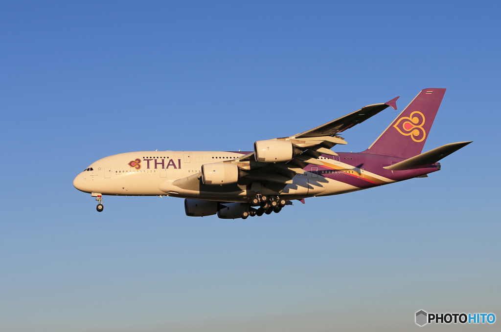 「スカイ」Thai A380-841 HS-TUB    Landing