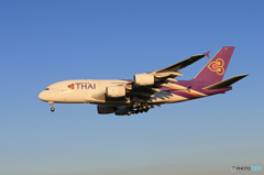 「スカイ」Thai A380-841 HS-TUB    Landing