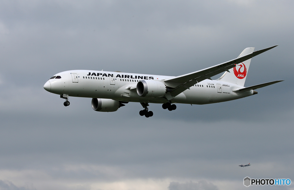 「曇り」JAL 787-JA843J Landing