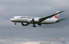 「曇り」JAL 787-JA843J Landing