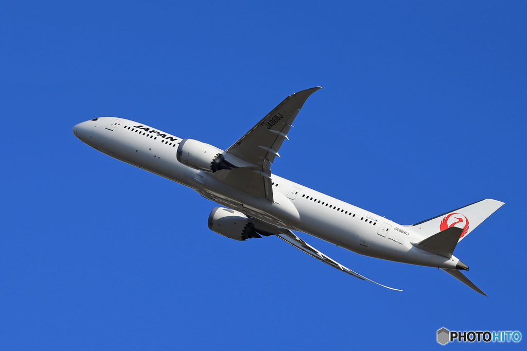 「ぶるー」JAL 787-9 JA863J 飛ぶ