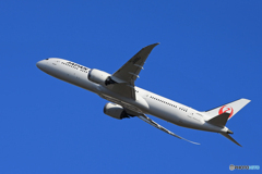 「ぶるー」JAL 787-9 JA863J 飛ぶ