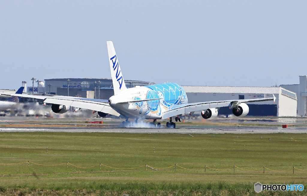 ☀「青い空」が一番 ANA A380-841✈72.72m