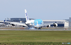 ☀「青い空」が一番 ANA A380-841✈72.72m