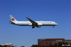 「青の空 」さくらの山の定番撮影です