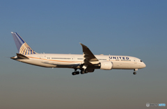 「青色が好き」 United 787-9 N38955 Landing 