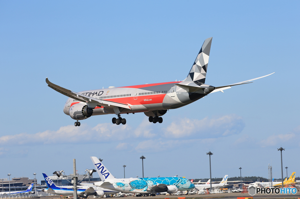 「スカイ」 ETIHAD F-1 787-9 A6-BLV Landing