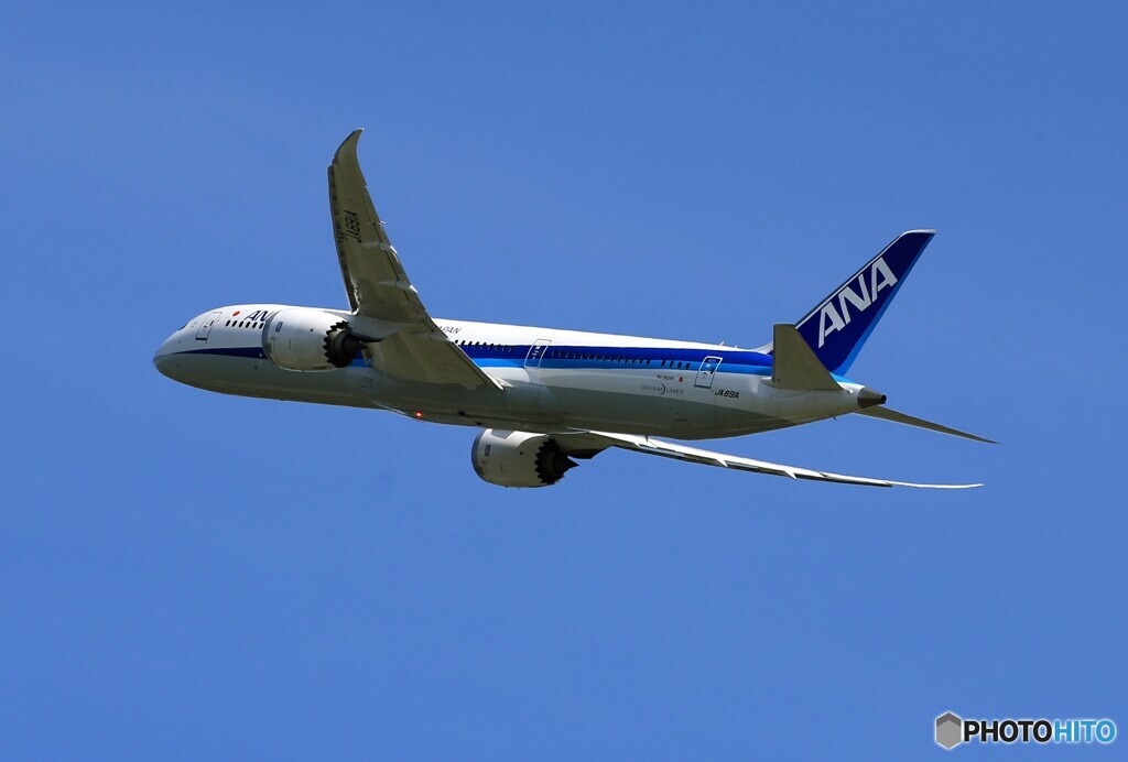 「真青の空」ANA 787-9 JA891A 飛行 