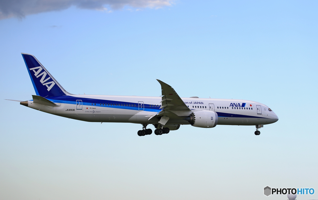  「晴れ」ANA 787-9 JA893A  Landing 