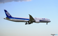  「晴れ」ANA 787-9 JA893A  Landing 