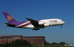 「ブルー」Thai A380-841 HS-TUB 到着