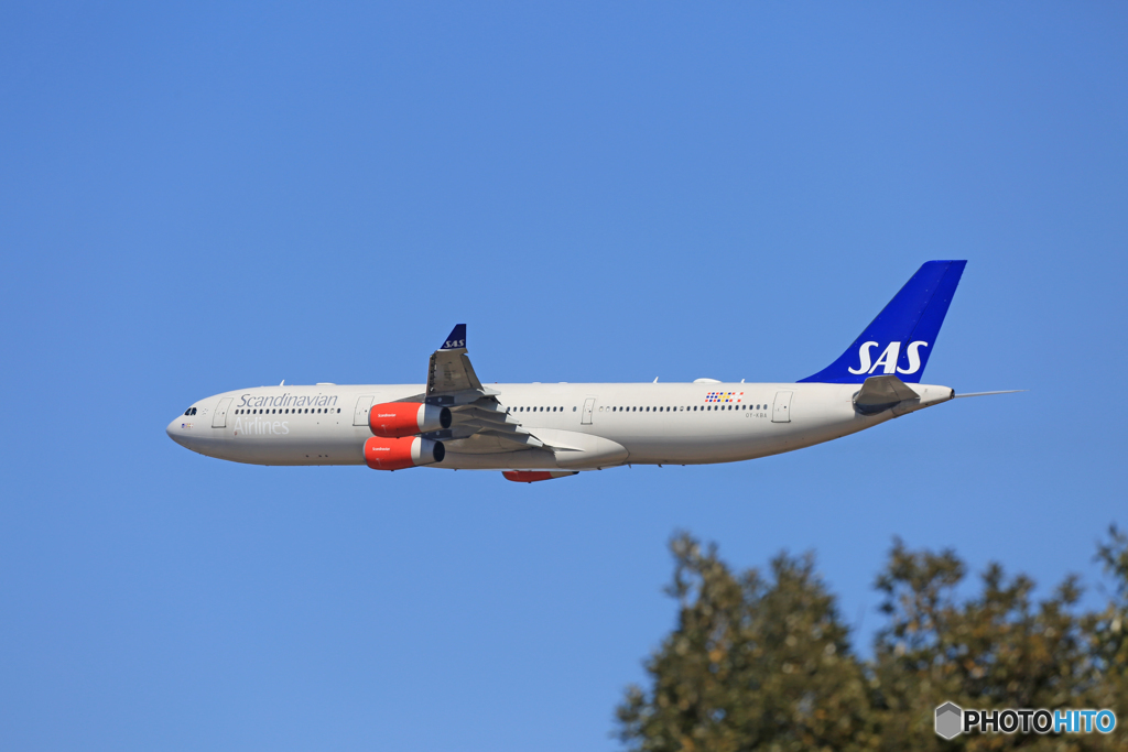 ☀「あおぞら」 SAS A340-313 OY-KBA出発です